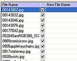 File Renamer Basic 5.0.2