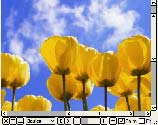 ImageViewer 1.62