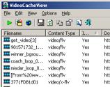 VideoCacheView Portable 1.25